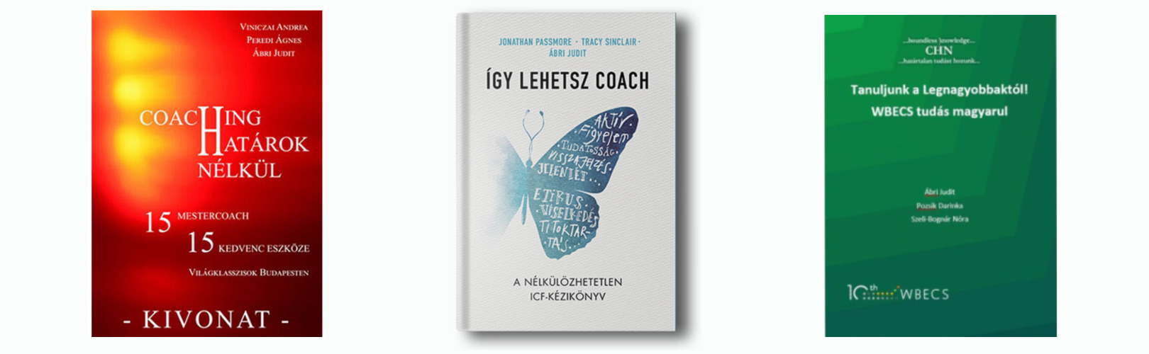 Ábri Judit - Coaching határok nélkül - könyvei
